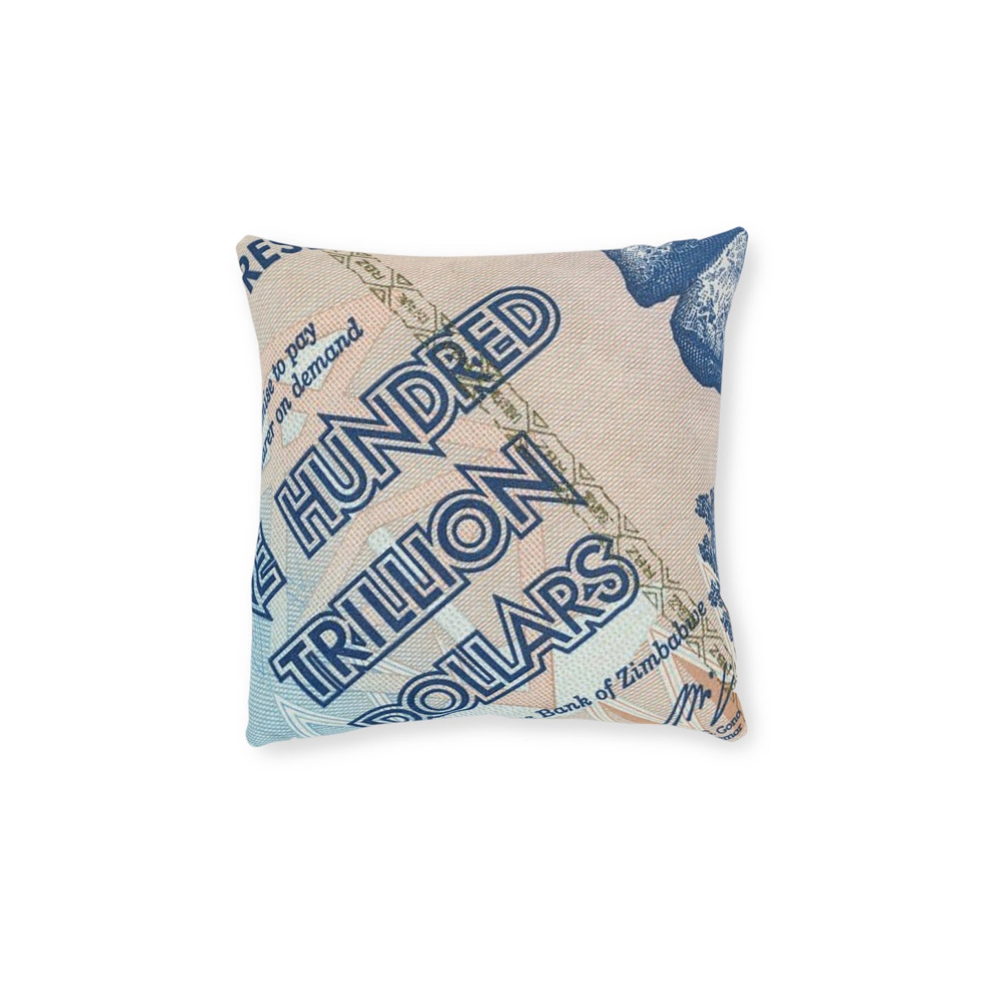 Trillion Dollar Decor Pillow, Unique