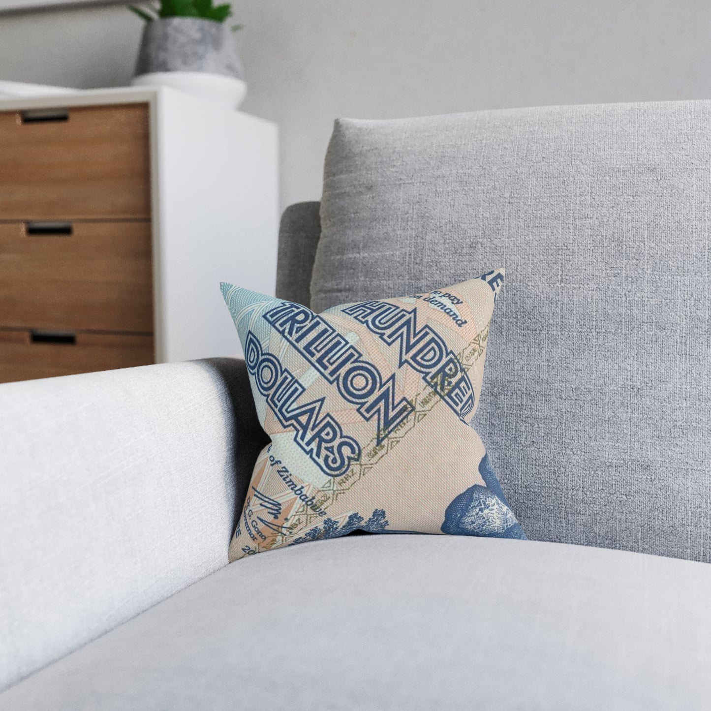Trillion Dollar Decor Pillow, Unique